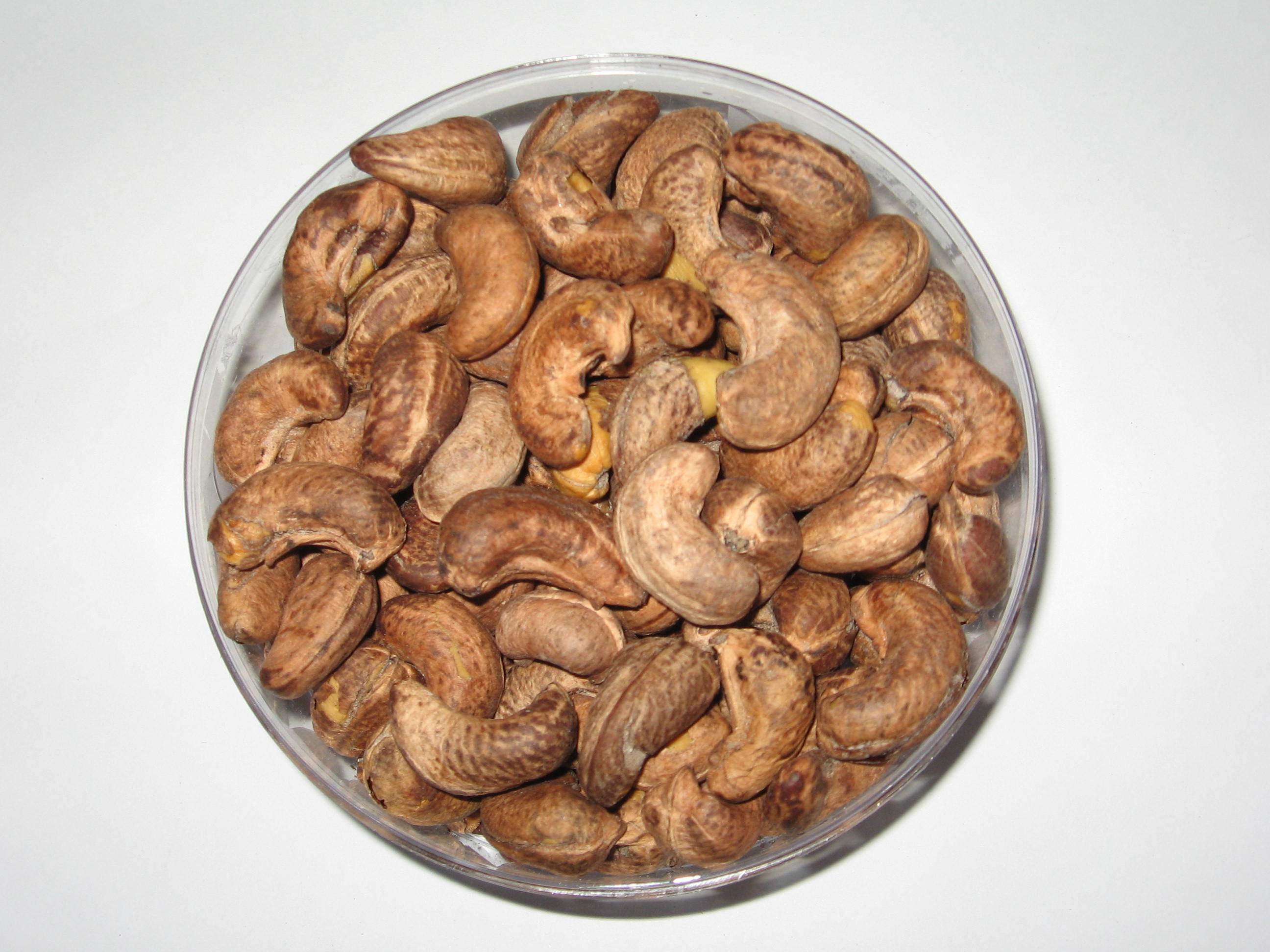 Fried Cashew Nut With Husk